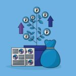 Multi Cap Funds